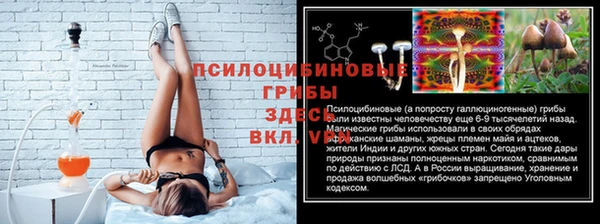 герыч Богородск