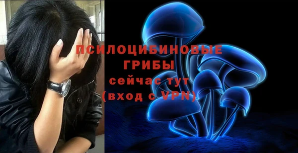 герыч Богородск