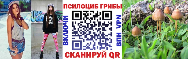 Галлюциногенные грибы Cubensis  что такое   Ейск 